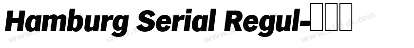 Hamburg Serial Regul字体转换